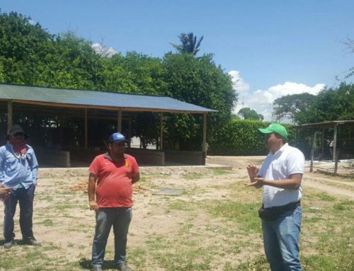 Asesoría en compostaje y lombricultura (finca la veguita – Valledupar, Cesar)