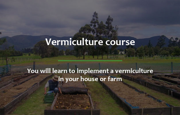 Vermiculture course